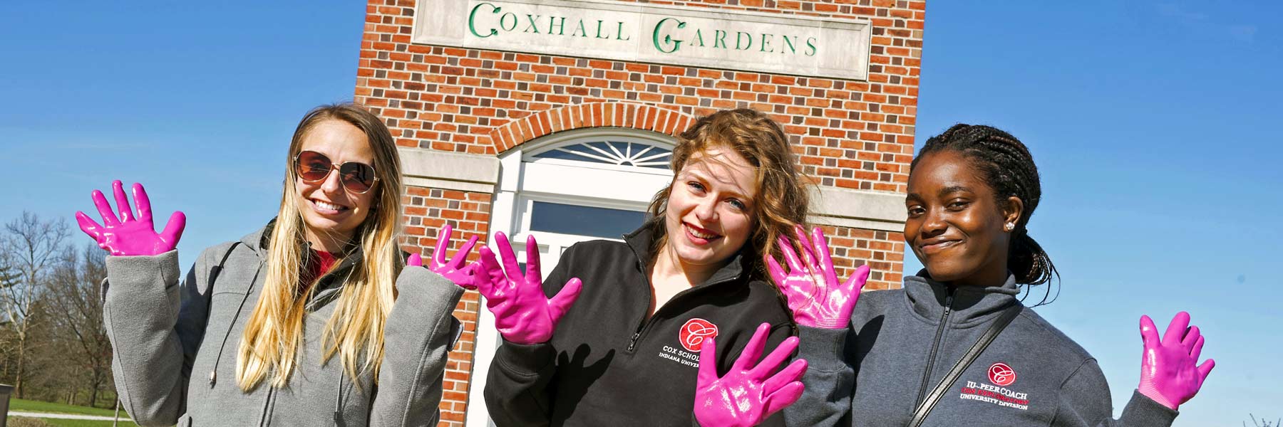 Three student working at Coxhill Gardens